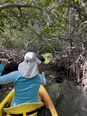 Kayaking through the mangroves. Photo by Matthew Meier.