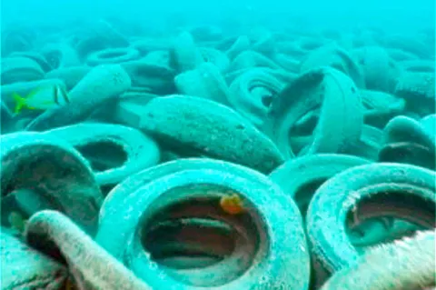 Some 2 million tires were dumped off the coast of Fort Lauderdale, Fla., in the 1970s, in an effort to create an artificial reef. Three decades later, military divers have begun removing the tires.